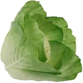 Nettenevime Yapay Yeşil Lahana Dekoratif Yapay Sebze Marul thumbnail 4