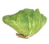 Nettenevime Yapay Yeşil Lahana Dekoratif Yapay Sebze Marul thumbnail 5