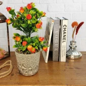 Nettenevime Yapay Çiçek Gri Seramik Saksıda Kırmızı Nar Ağacı thumbnail 1