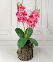 Nettenevime Yapay Çiçek Ahşap Kütük Saksılı Koyu Pembe Mini Yapay Orkide Dekoratif Hediye thumbnail 1