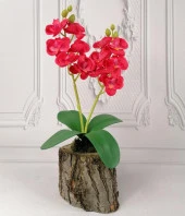 Nettenevime Yapay Çiçek Ahşap Kütük Saksılı Kırmızı Mini Yapay Orkide Dekoratif Hediye thumbnail 1