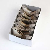 Nettenevime Yapay Kuş Serçe 10 cm 12 adet li Kutu thumbnail 6