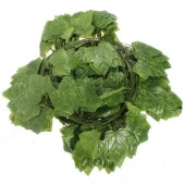 Nettenevime Yapay Sarmaşık Üzüm Yaprağı 12Lİ  PAKET thumbnail 1