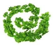 Nettenevime Yapay Sarmaşık Sarı Çizgili 12Lİ PAKET 230X12=2760CM thumbnail 1