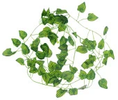 Nettenevime Yapay Sarmaşık Sarı Çizgili 12Lİ PAKET 230X12=2760CM thumbnail 2