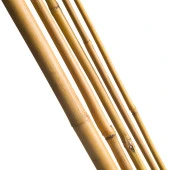 Nettenevime Bambu Sopası 180 cm 16 -18mm Bambu Çubuğu 5 ADET thumbnail 3