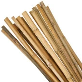 Nettenevime Bambu Sopası 210 cm 19-20mm Bambu Çubuğu 5 ADET thumbnail 1