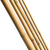 Nettenevime Bambu Sopası 210 cm 19-20mm Bambu Çubuğu 5 ADET thumbnail 3