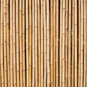 Nettenevime Bambu Sopası 210 cm 19-20mm Bambu Çubuğu 5 ADET thumbnail 4