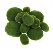 Nettenevime Taş Yosun Teraryum Ve Akvaryum Dekoru - 1