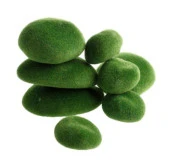 Nettenevime Taş Yosun Teraryum Ve Akvaryum Dekoru - 2