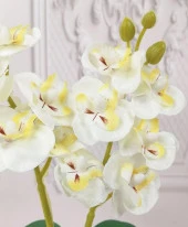 Nettenevime Beton Saksılı Yapay Orkide Pileli Etek Saksılı Beyaz Mini Yapay Orkide - 3