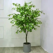 Nettenevime Yapay Çiçek 12 Adet Benjamin Yaprağı Yeşil Ağaç Yaprağı - 2