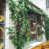 Nettenevime Yapay Çiçek 12 Adet Benjamin Yaprağı Yeşil Ağaç Yaprağı - 4