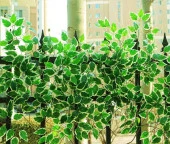 Nettenevime Yapay Çiçek 12 Adet Benjamin Yaprağı Yeşil Beyaz Ağaç Yaprağı thumbnail 7