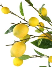 Nettenevime Yapay Limon Dalı 100cm Yapay Çiçek Limon Ağacı Dalı thumbnail 6