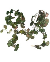 Nettenevime Yapay Sarmaşık Kırmızı Yeşil Sardunya 5Dallı 230cm Doğalgaz Borusu Kapatıcı Dekoratif Yapay Çiçek thumbnail 1