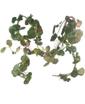 Nettenevime Yapay Sarmaşık Kırmızı Yeşil Sardunya 5Dallı 230cm Doğalgaz Borusu Kapatıcı Dekoratif Yapay Çiçek thumbnail 3