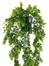 Nettenevime Yapay Çiçek Saksıda Sarkan Şimşir Okaliptus Yapay Sarmaşık 60cm thumbnail 2