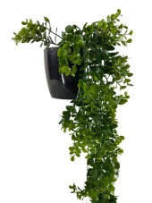 Nettenevime Yapay Çiçek Saksıda Sarkan Şimşir Okaliptus Yapay Sarmaşık 60cm thumbnail 5
