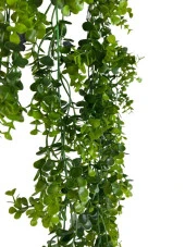 Nettenevime Yapay Çiçek Saksıda Sarkan Şimşir Okaliptus Yapay Sarmaşık 60cm thumbnail 6