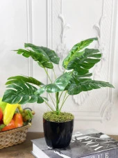 Nettenevime Yapay Çiçek Monstera 9 Dal Siyah Plastik Saksılı Deve Tabanı Dekoratif Süs Çiçeği thumbnail 3