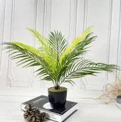 Nettenevime Yapay Çiçek Palmiye Siyah Plastik Saksılı Areka Yapay Bitki Salon Çiçeği 9 Yaprak 50cm thumbnail 1