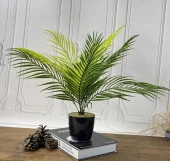 Nettenevime Yapay Çiçek Palmiye Siyah Plastik Saksılı Areka Yapay Bitki Salon Çiçeği 9 Yaprak 50cm thumbnail 4