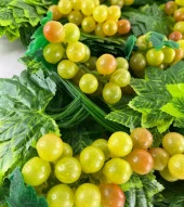 Nettenevime Yapay Sarmaşık 10 Adet Üzüm 12adet 230cm Sarmaşık Paket Yapay Çiçek thumbnail 5