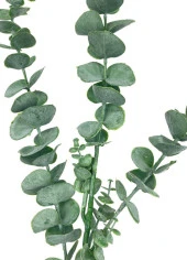 Nettenevime Yapay Çiçek Yeşil Okaliptus 3Dallı Uzun Dal 76cm Eucalyptus thumbnail 4