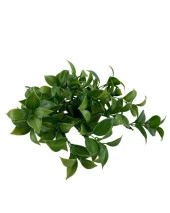 Nettenevime Yapay Çiçek Yeşil Limon Yaprağı Demet Şimşir Demeti Garnitür Aradal Dekoratif Yapay Bitki thumbnail 3