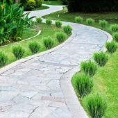 Nettenevime Yapay Çiçek Saz Demet 10 ADET Garnitür Yeşil Aradal Dekoratif Yapay Bitki thumbnail 4