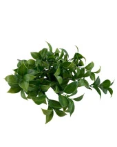 Nettenevime Yapay Çiçek Yeşil Limon Yaprağı Demet Şimşir Demeti Garnitür Aradal Dekoratif Yapay Bitki thumbnail 5