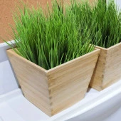 Nettenevime Yapay Çiçek Saz Demet 10 ADET Garnitür Yeşil Aradal Dekoratif Yapay Bitki thumbnail 7