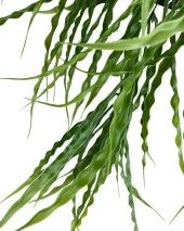 Nettenevime Yapay Çiçek Saksıda Sarkan Yeşil Kıvrımlı Saz 90cm - 2