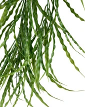 Nettenevime Yapay Çiçek Saksıda Sarkan Yeşil Kıvrımlı Saz 90cm - 6