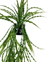 Nettenevime Yapay Çiçek Saksıda Sarkan Yeşil Kıvrımlı Saz 90cm - 7