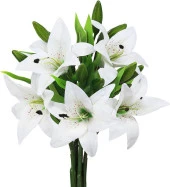 Nettenevime Yapay Çiçek Islak Lilyum Beyaz Renk 7 Çiçekli Gerçeksi Doku A Kalite thumbnail 1