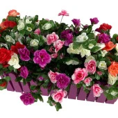 Nettenevime Yapay Çiçek Mor Çit Balkon Saksısı Renkli Açelya Çiçekli 55*20cm thumbnail 6