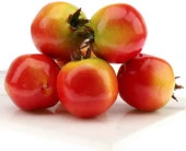 Yapay NAR 6 lı Paket  Yapay Meyve - 2