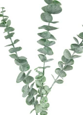Nettenevime Yapay Çiçek Pastel Yeşil Okaliptus 3Dallı Uzun Dal 76cm Eucalyptus thumbnail 3