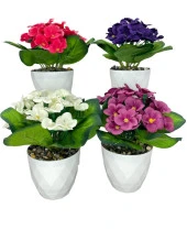 Nettenevime 4lü Set Yapay Çiçek Kadife Menekşe Beyaz Saksıda Gerçekçi Doku  Karışık Renkli thumbnail 1