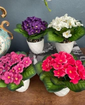 Nettenevime 4lü Set Yapay Çiçek Kadife Menekşe Beyaz Saksıda Gerçekçi Doku  Karışık Renkli thumbnail 6