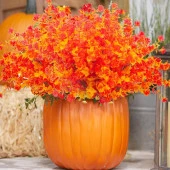 Nettenevime 6lı Set Yapay Çiçek Tam Turuncu Mineli Şimşir Lotus 7 Dallı Plastik Dekoratif Yapay Bitki thumbnail 7