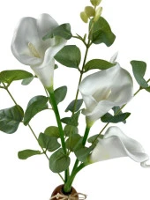 Nettenevime Nettenevime Okaliptuslu Gala Çiçeği Dalı 3lü Yapay Çiçek thumbnail 2