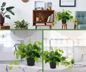 Nettenevime Saksıda Sarmaşık Sarı Yeşil Oval Yapraklı Sarmaşık Yapay Çiçek Siyah Saksıda thumbnail 5