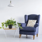 Nettenevime Saksıda Sarmaşık Sarı Yeşil Oval Yapraklı Sarmaşık Yapay Çiçek Siyah Saksıda thumbnail 7