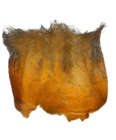 Nettenevime Kurutulmuş Palmiye Ağacı Kabuğu Lifi Natural Ağaç Gövdesi Kokos - 1