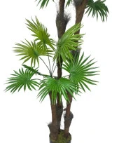 Nettenevime Kurutulmuş Palmiye Ağacı Kabuğu Lifi Natural Ağaç Gövdesi Kokos - 6