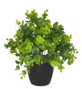 Yapay Çiçek Şimşir Eucalyptus Yapay Bitki Siyah Plastik Saksılı Dekoratif Süs Çiçeği - 1